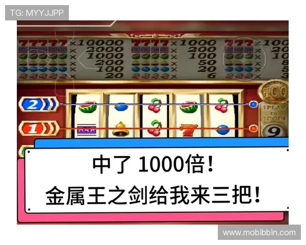 MG老虎机比倍玩法详解助你轻松掌握赢取大奖的技巧